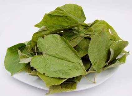 淫羊藿药材